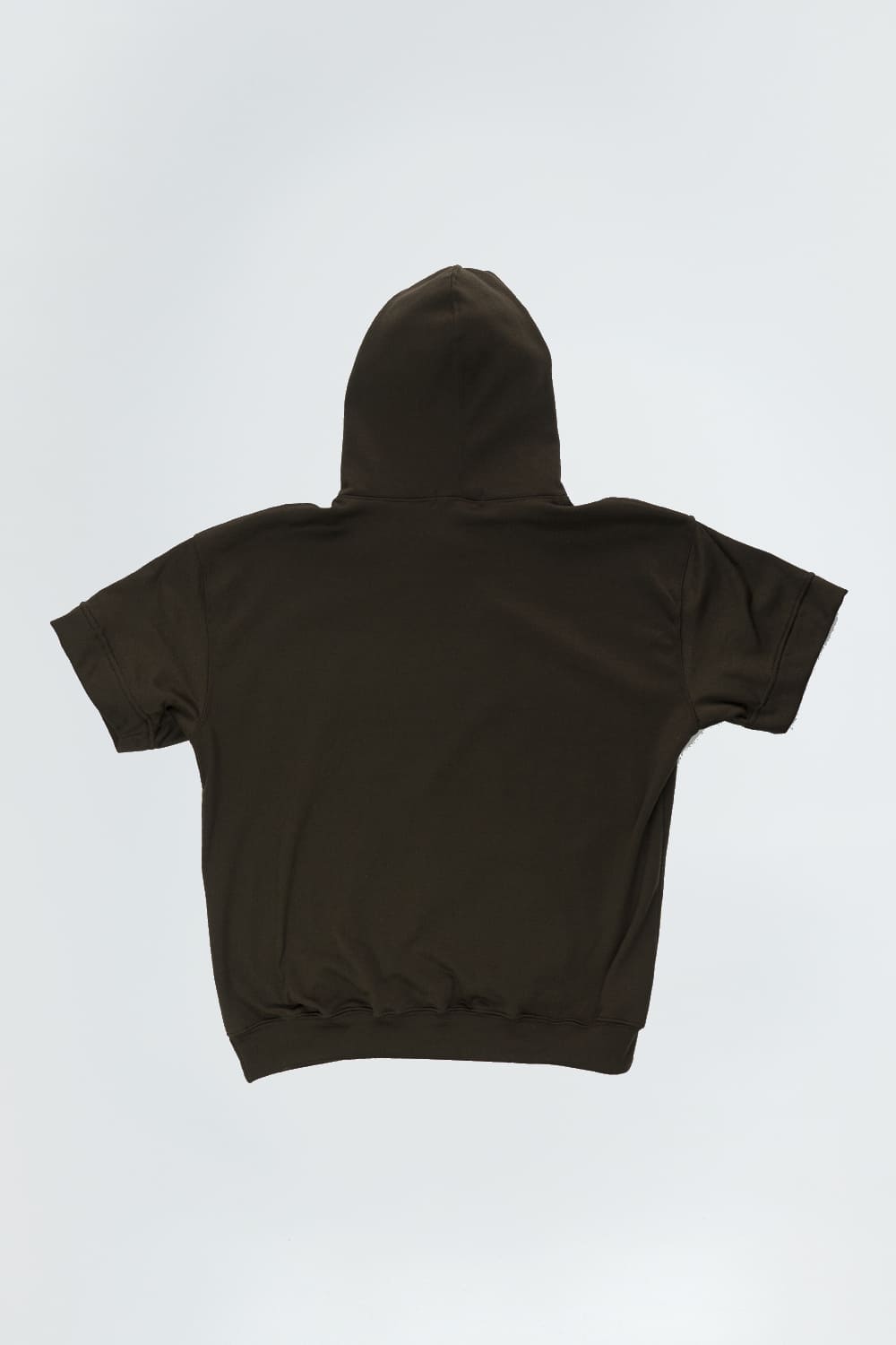 BCO 2.0 Sleeve Hoodie - BROWN 8279